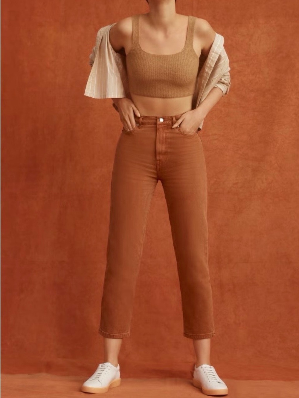 Everlane Way High Jeans Archroma Rich Earth 25 Straight Leg Organic Cotton